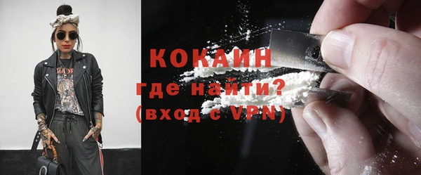 индика Арсеньев