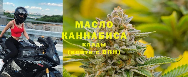 индика Арсеньев