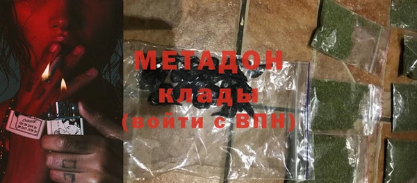 индика Арсеньев