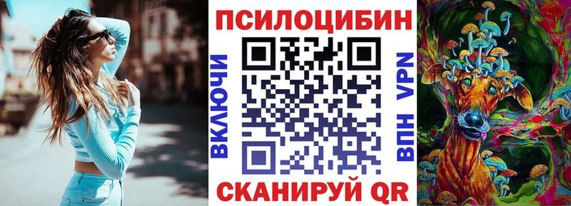 где купить наркоту  Ковылкино  Псилоцибиновые грибы ЛСД 